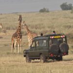 What Type of Animals Will I See on a Game Drive in Uganda