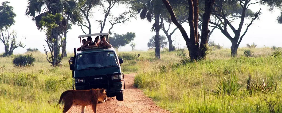 What Should I Bring on a Uganda Game Drive?