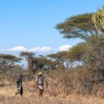 What is the Best Time to Do a Walking Safari in Uganda?