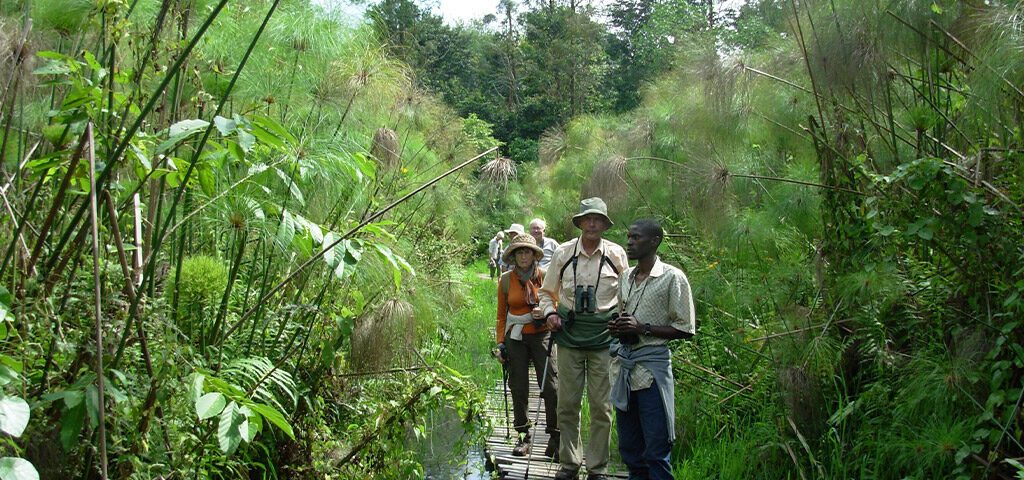 What is the Difference Between a Nature Walk and a Walking Safari?
