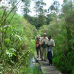 What is the Difference Between a Nature Walk and a Walking Safari?
