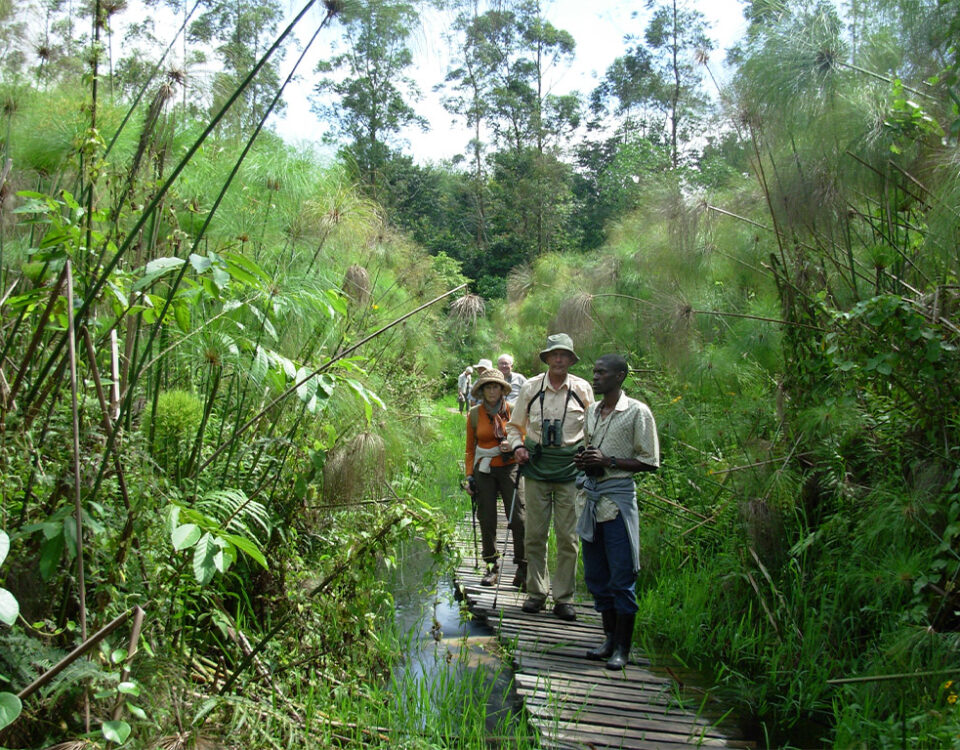 What is the Difference Between a Nature Walk and a Walking Safari?