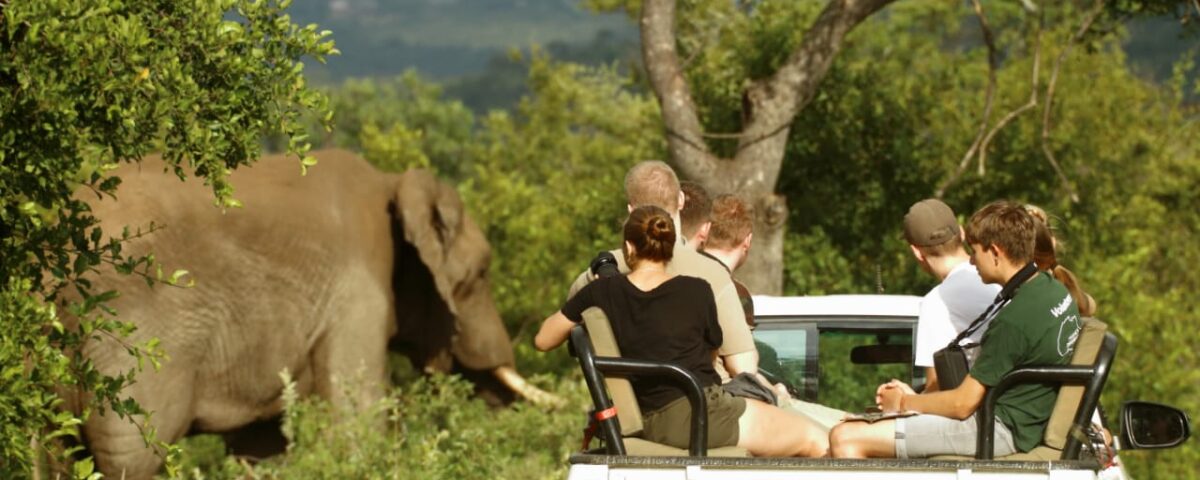 How are students supervised during wildlife safaris?