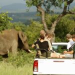 How are students supervised during wildlife safaris?