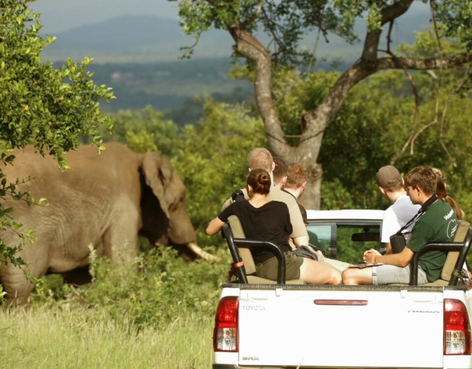 How are students supervised during wildlife safaris?