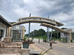 How Much is Entry to Murchison Falls National Park?