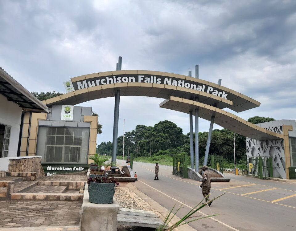 How Much is Entry to Murchison Falls National Park?