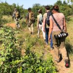 Are Walking Safaris Available Year-Round?