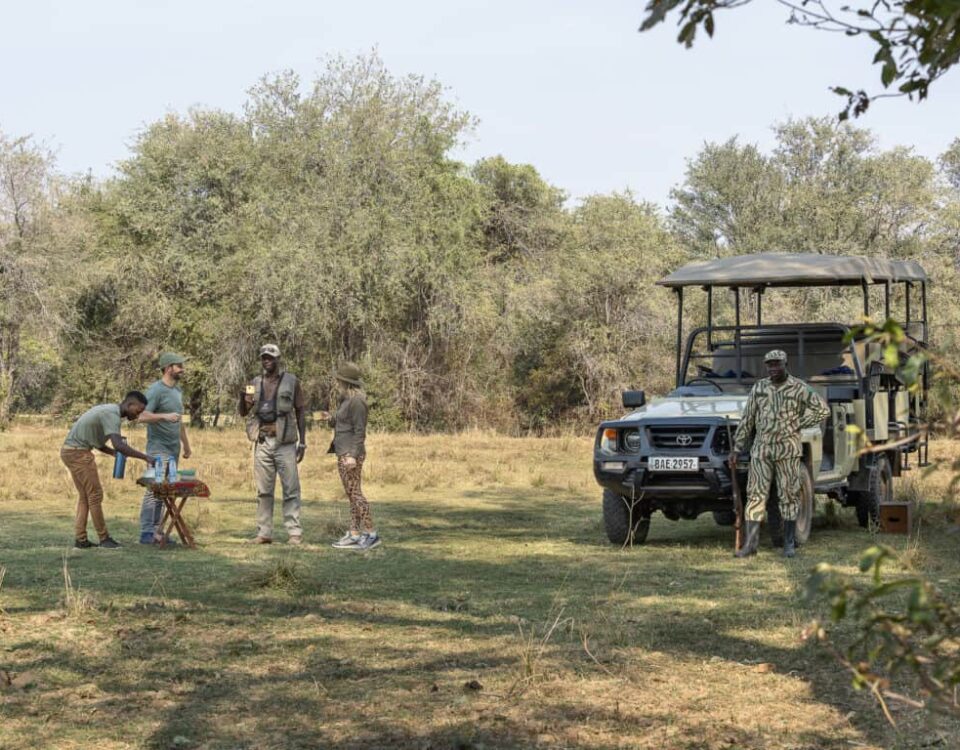 Can I Do a Walking Safari in Combination with a Game Drive?