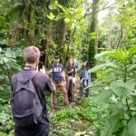 How Long Does a Walking Safari Last?