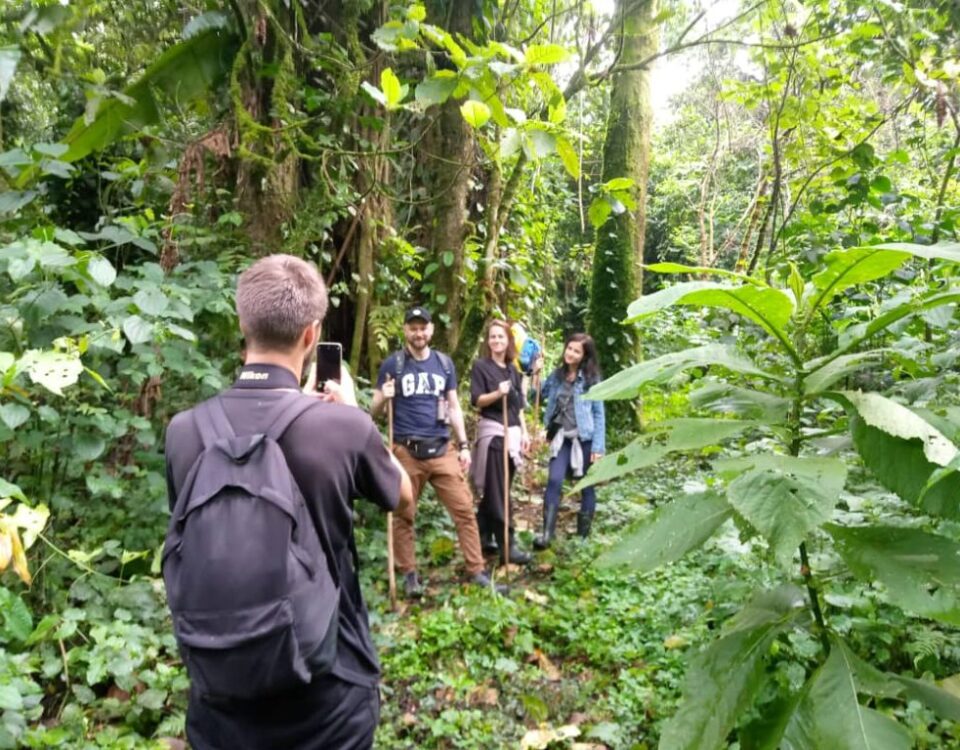 How Long Does a Walking Safari Last?