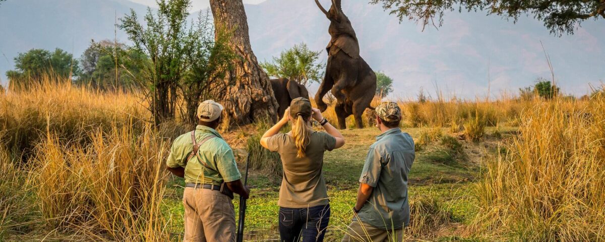 Is There a Minimum Age for Walking Safaris in Uganda?