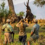 Is There a Minimum Age for Walking Safaris in Uganda?
