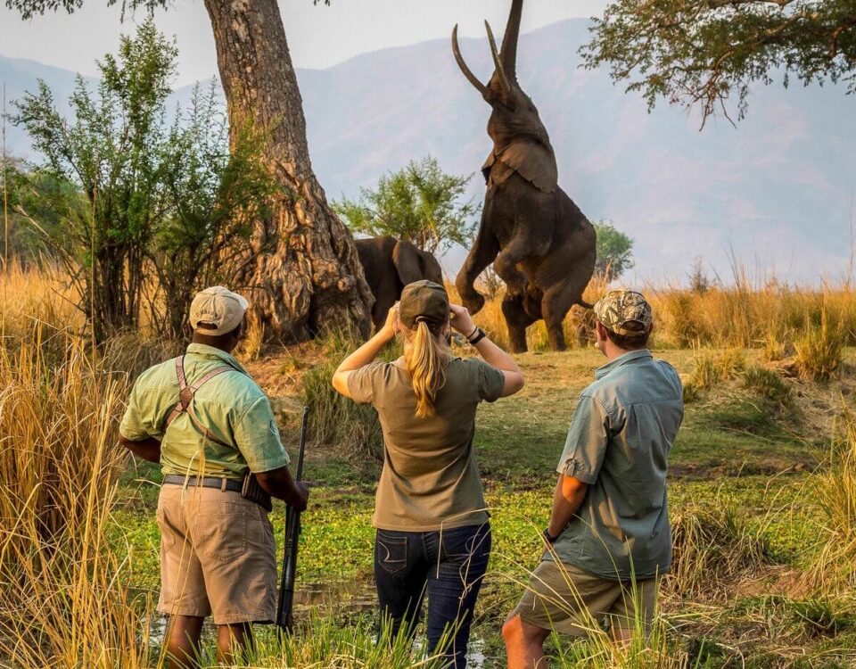 Is There a Minimum Age for Walking Safaris in Uganda?