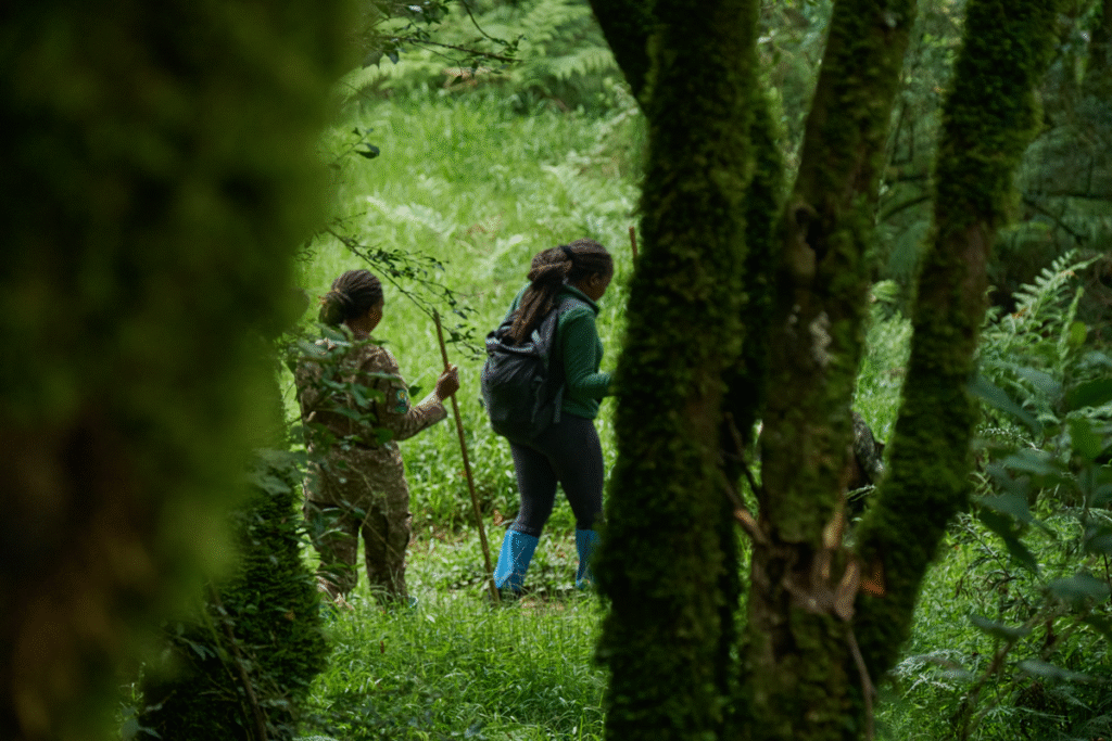 How Do I Book a Walking Safari in Uganda?