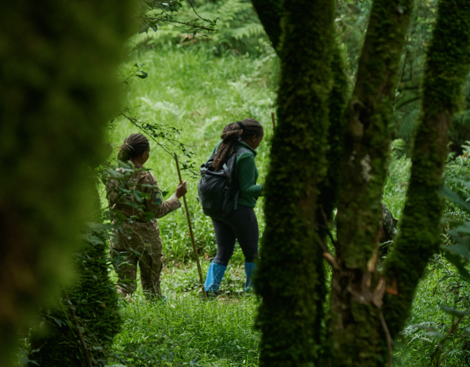 How Do I Book a Walking Safari in Uganda?