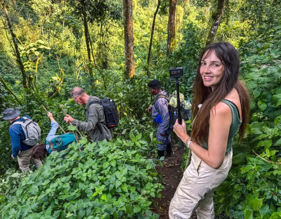 How Much Does a Walking Safari in Uganda Cost?