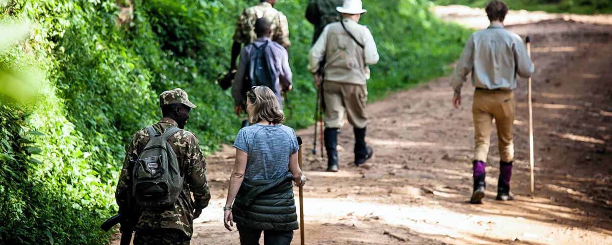 How do I book a walking safari in Uganda?