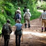 How do I book a walking safari in Uganda?