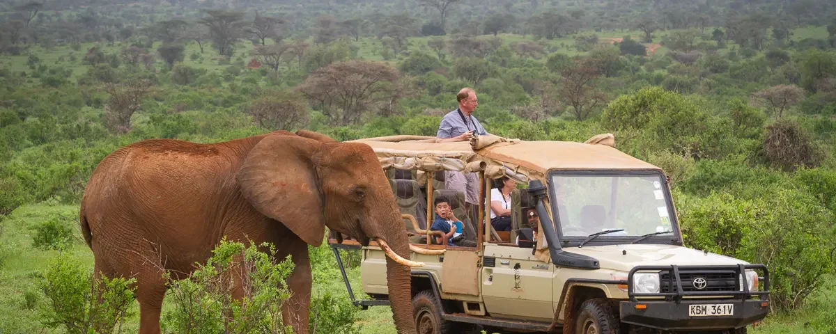 What Are Kenya’s Cheapest Months to Visit?