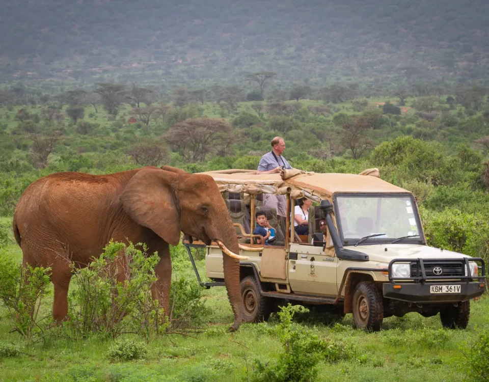 What Are Kenya’s Cheapest Months to Visit?