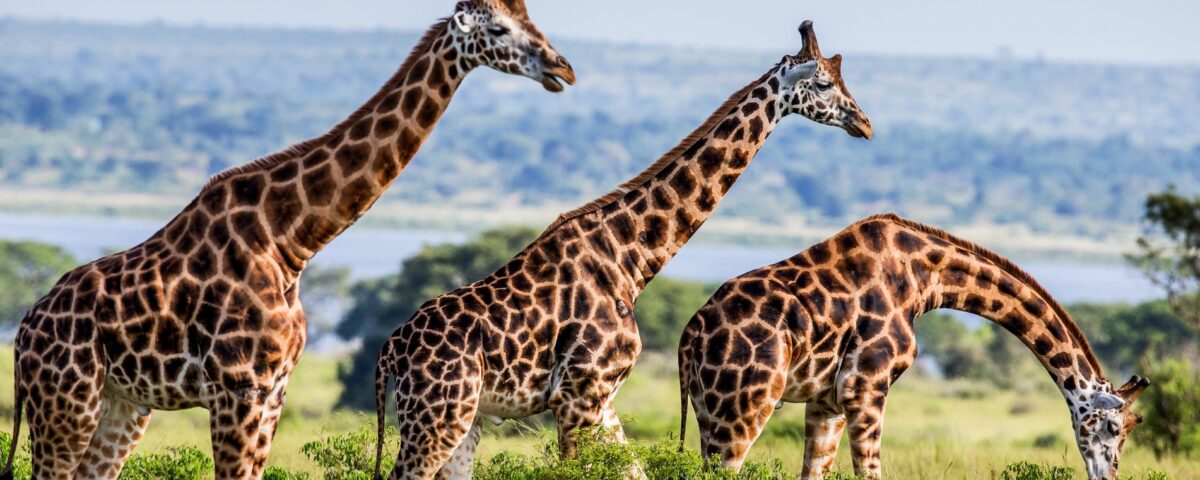 Are National Parks Open All Year Round?