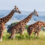 Are National Parks Open All Year Round?