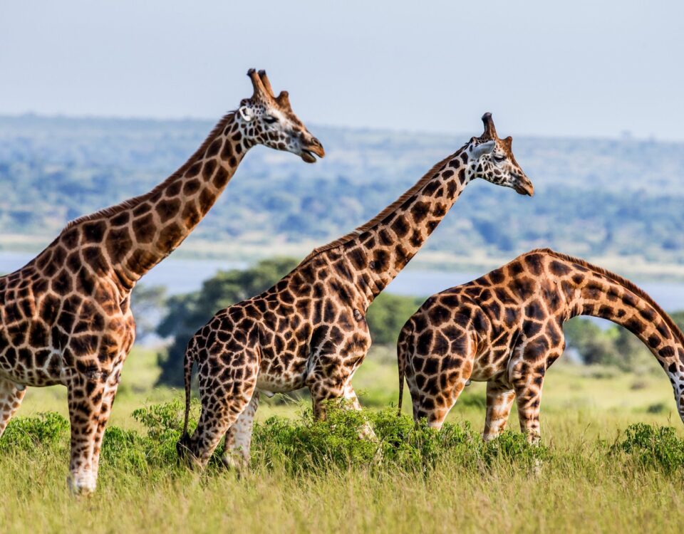 Are National Parks Open All Year Round?