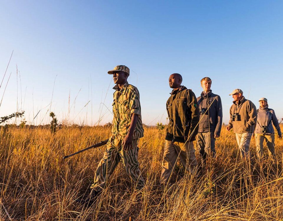 What Should I Pack for a Walking Safari?