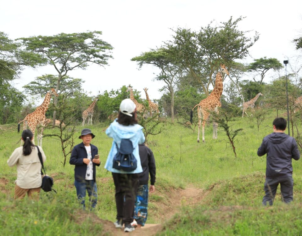 walking-safari lake mburo