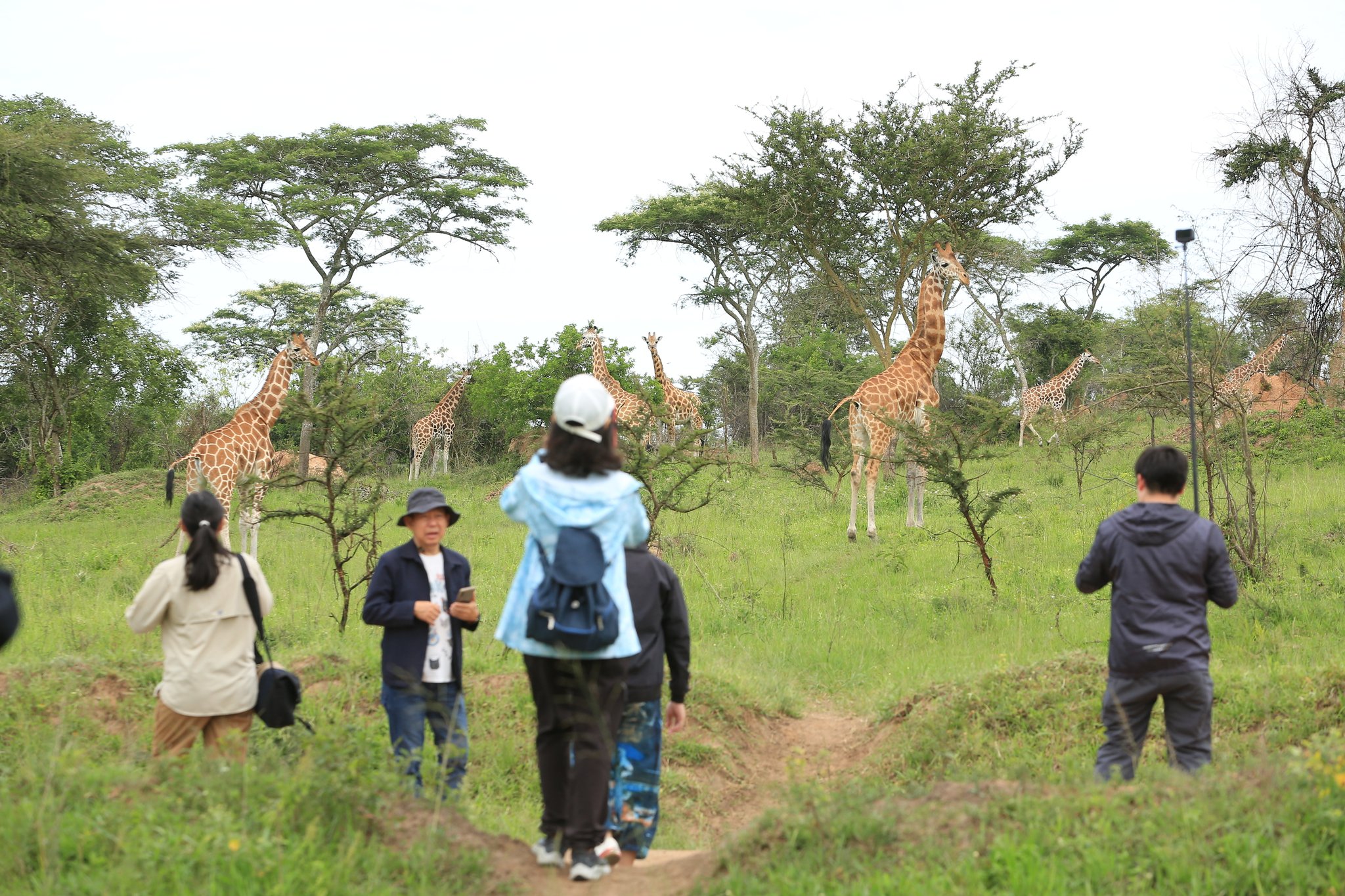 walking-safari lake mburo