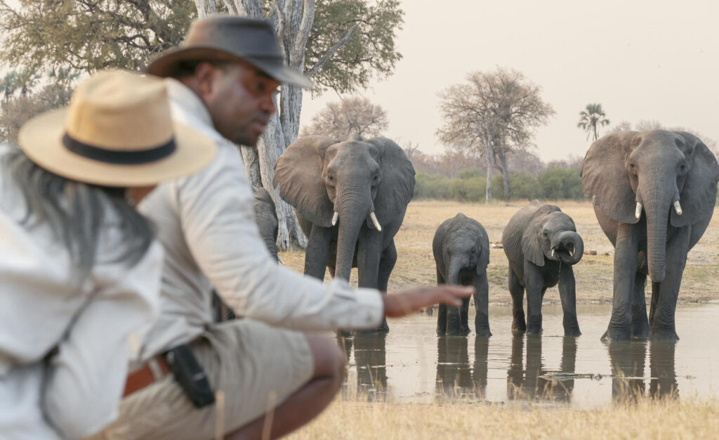 Are Walking Safaris Suitable for Solo Travelers?