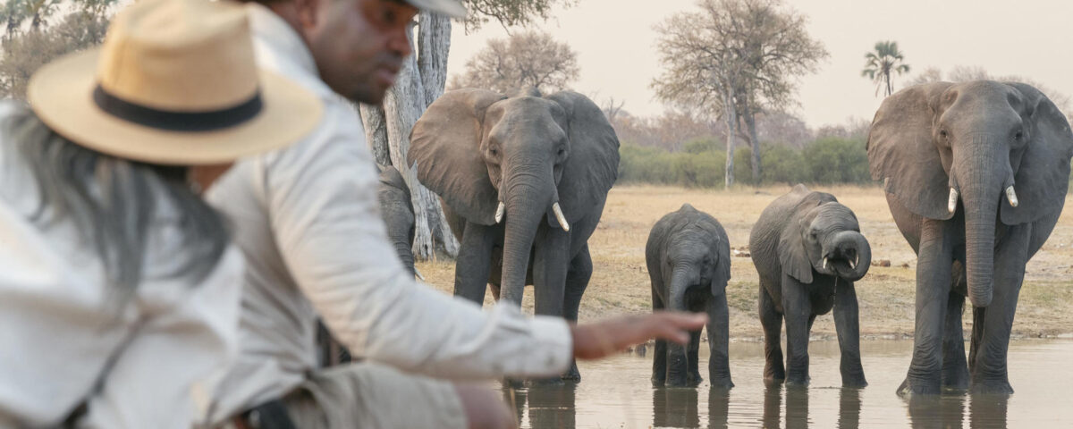 Are Walking Safaris Suitable for Solo Travelers?