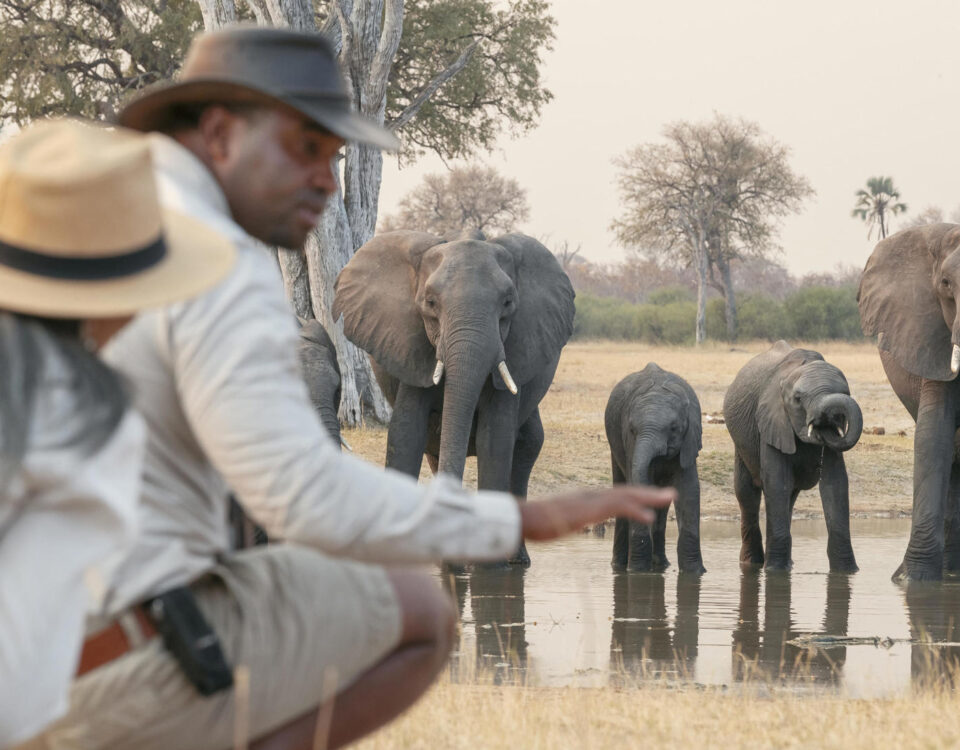 Are Walking Safaris Suitable for Solo Travelers?