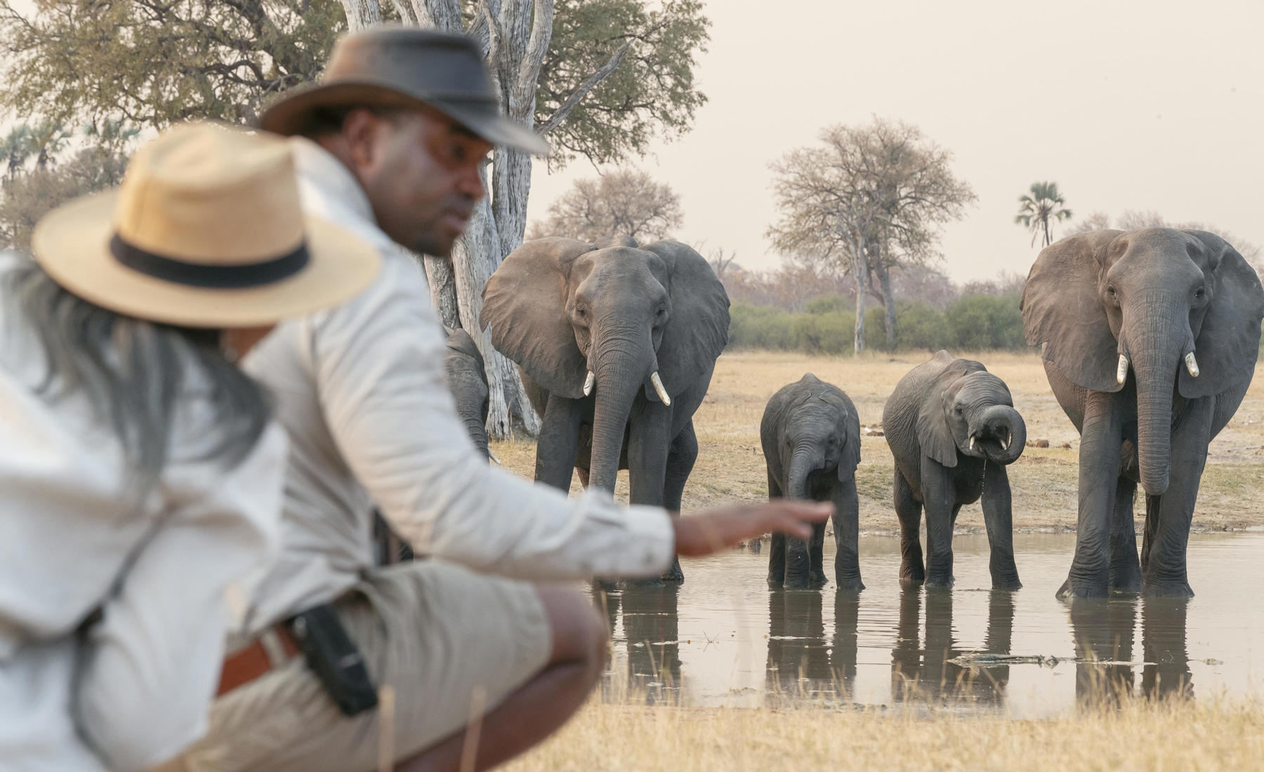 Are Walking Safaris Suitable for Solo Travelers?