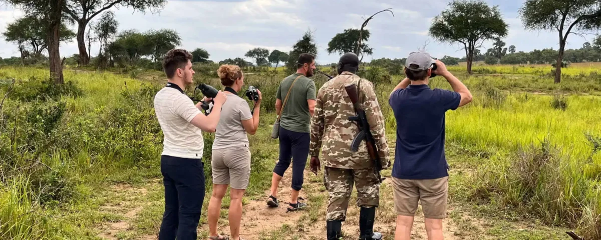 Are Armed Rangers Available During Walking Safaris in Uganda?