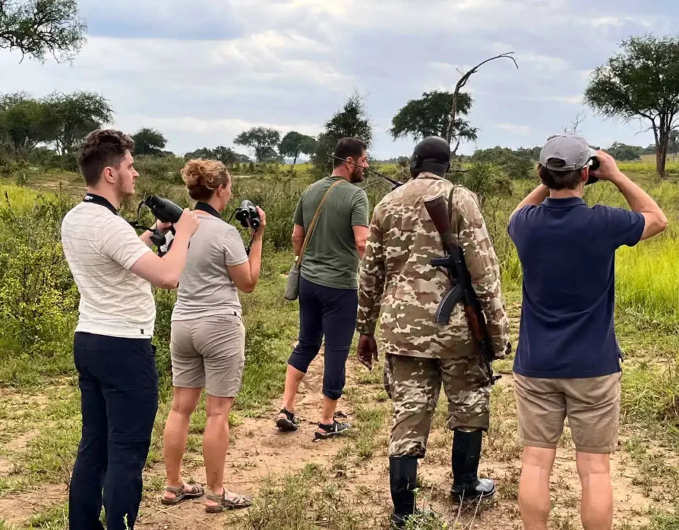 Are Armed Rangers Available During Walking Safaris in Uganda?
