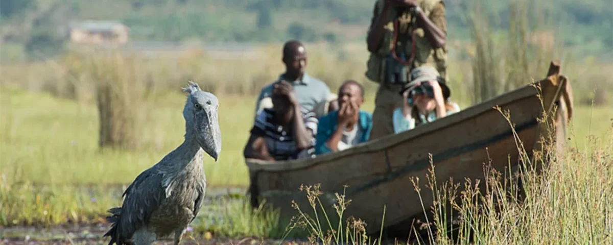 Are Boat Safaris Included in Uganda Birding Tours?