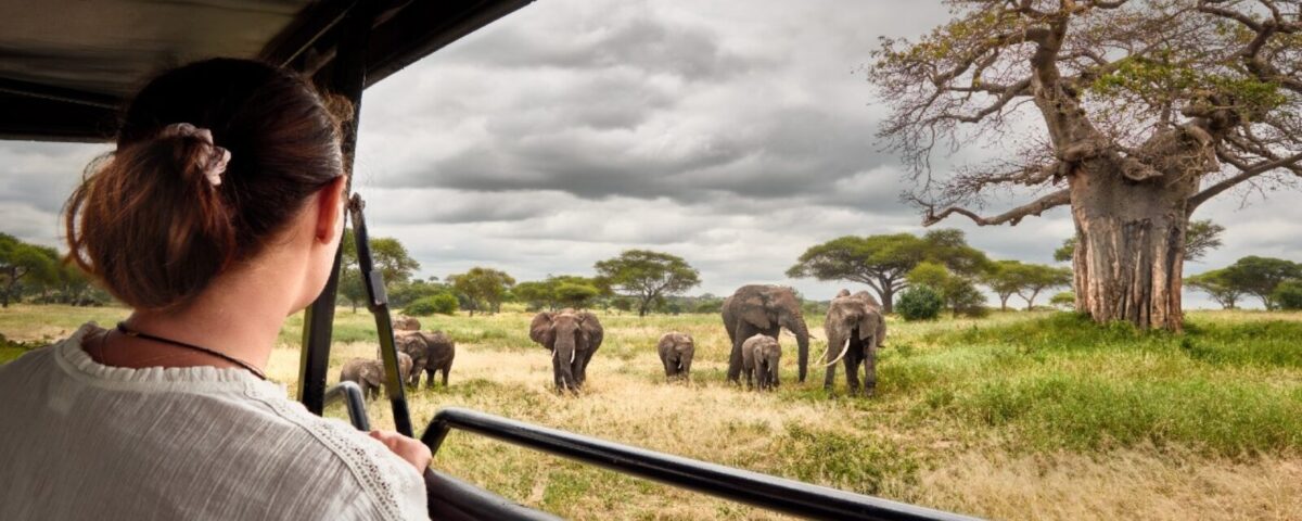 Are Cross-Border Safaris Popular in East Africa?