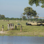 Are Game Drives Safe for Children and Families