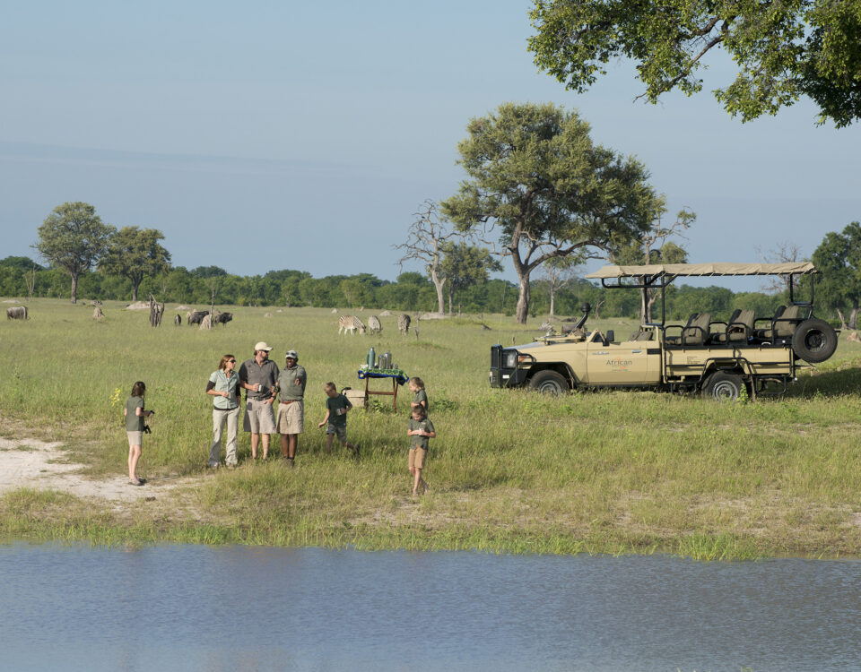 Are Game Drives Safe for Children and Families