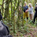 Are Gorilla Trekking Safaris Safe for Solo Travelers in Rwanda?