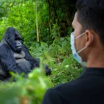 Are Health Measures Different for Primate-Focused Safaris?