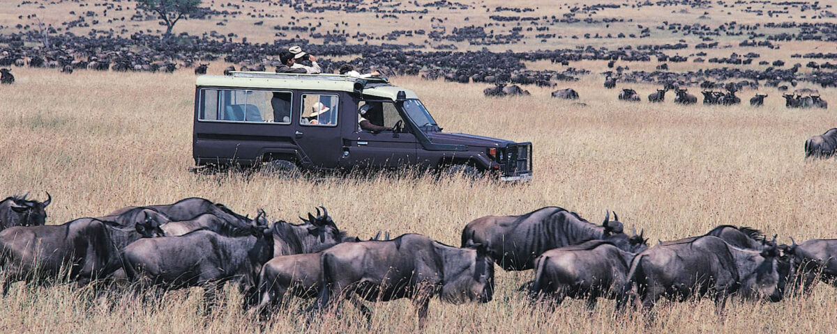 Are There Luxury Safari Options for the Great Migration?