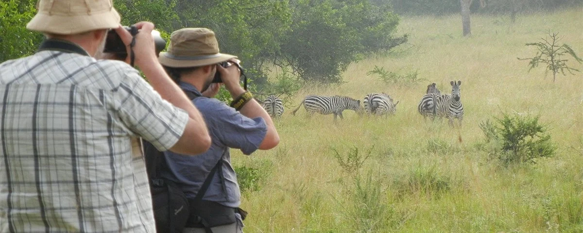 Are There Luxury Walking Safari Options in Uganda?
