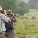Are There Luxury Walking Safari Options in Uganda?