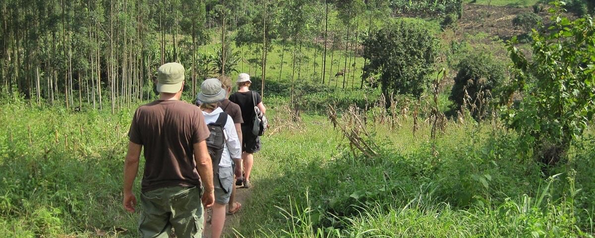 Are There Walking Safaris in Queen Elizabeth National Park?