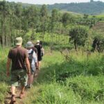 Are There Walking Safaris in Queen Elizabeth National Park?