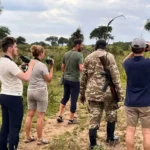 Are Walking Safaris Guided by Professional Rangers?