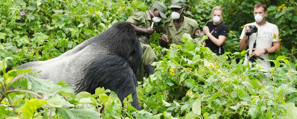 Can Birding Safaris Be Combined with Gorilla Trekking